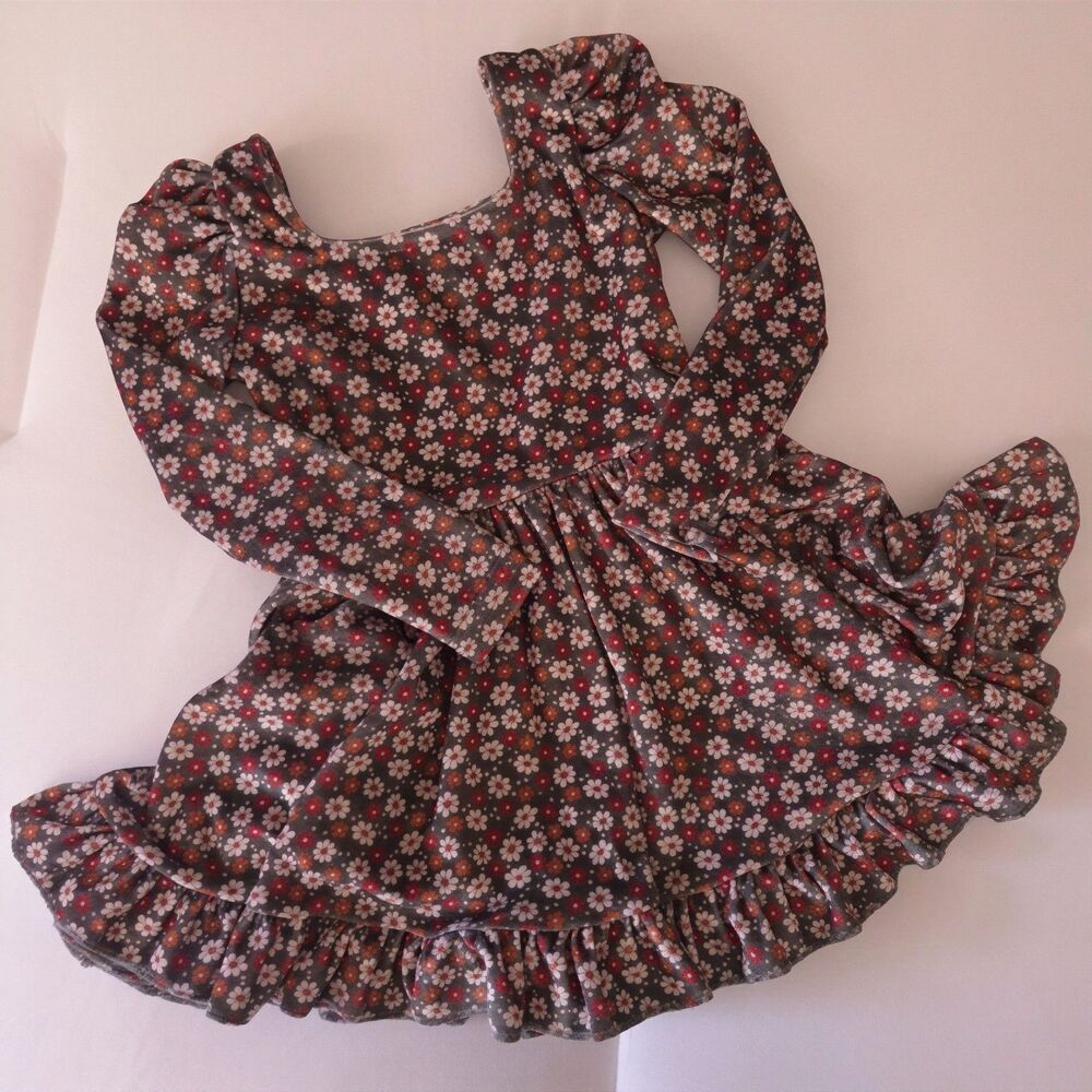 Girlhood Velvet Fall Floral Mod Twirl Dress size 2